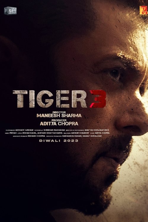 Tiger 3