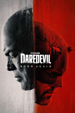 Daredevil: Born Again : Sic Semper Systema (Dual Audio)