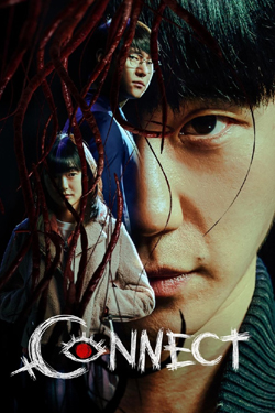Connect : (English Korean)