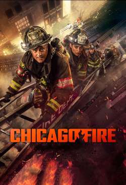 Chicago Fire : Permanent Damage